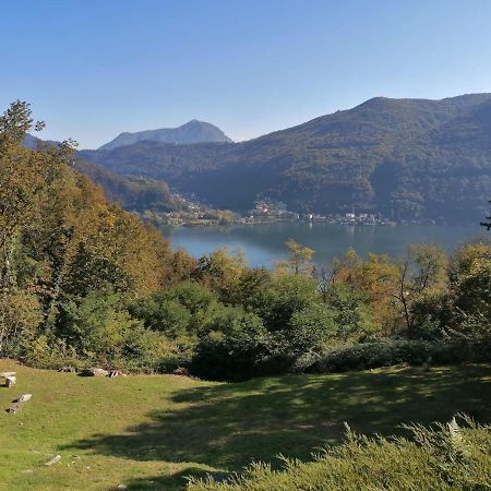 La Finestra Sul Lago Bed & Breakfast Brusimpiano Exterior foto