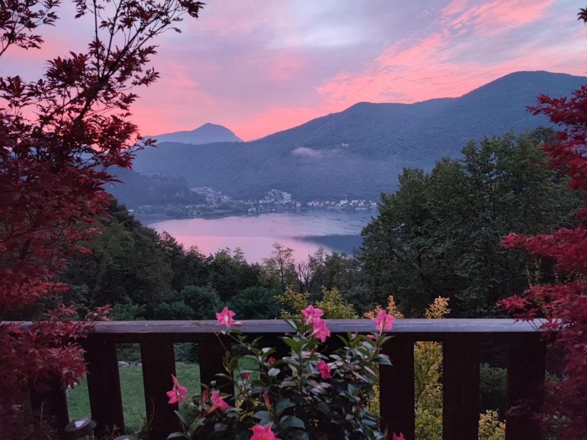 La Finestra Sul Lago Bed & Breakfast Brusimpiano Exterior foto