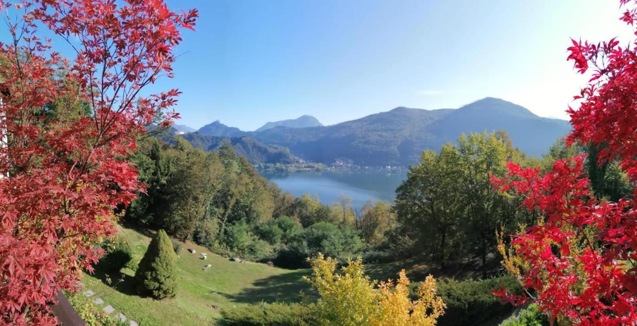 La Finestra Sul Lago Bed & Breakfast Brusimpiano Exterior foto